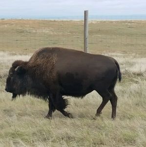 Meet your Posher, Nathan